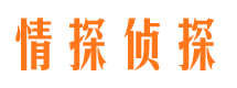 平武市场调查